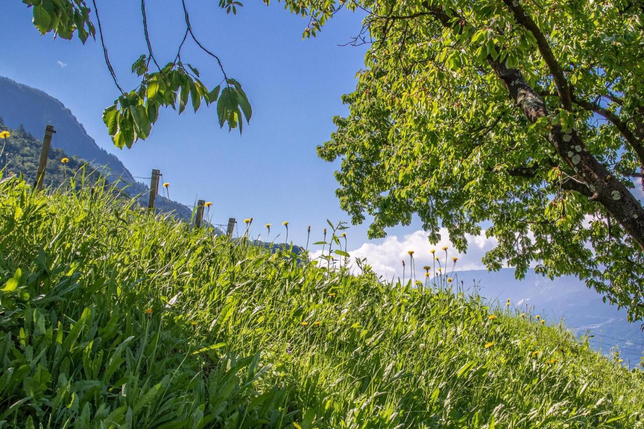 Ferienwohnung Pinot Merano Exterior foto